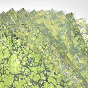 Verdi assortiti / 65 x 50 cm / 120 g/m² (grana corta)