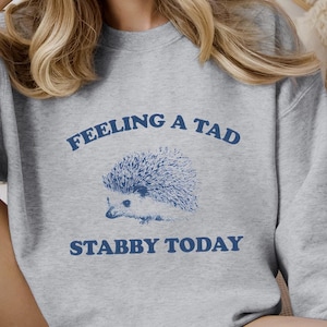 Feeling A Tad Stabby Today Vintage Style Shirt, Funny Hedgehog Meme Tee, Weird Retro Cartoon Shirt, Hilarious Hoodie, Cute Animal Sweatshirt