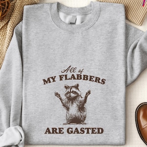 All of My Flabbers Are Gasted Sweatshirt, Raccoon Meme Tee, Vintage Retro Cartoon Shirt, Weird Animal Hoodie, Hilarious Graphic Apparel