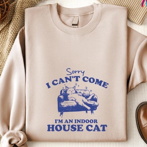 Sorry I Can't Come Indoor Cat Hoodie, Vintage Meme Tee, Retro Cartoon Sweatshirt, Funny Weird Cat Shirt, Unisex Cozy Hoodie, Fall Apparel