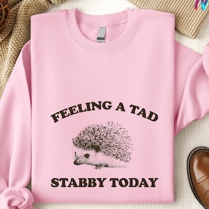 Feeling A Tad Stabby Today Vintage Shirt, Funny Hedgehog Tee, Weird Retro Cartoon Hoodie, Hilarious Sweatshirt, Cozy Animal Lover Shirt