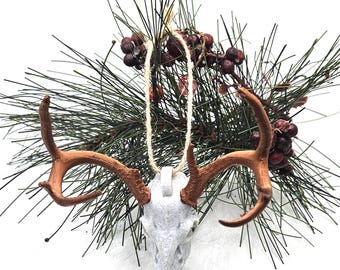 May include: A white deer skull ornament with brown antlers, featuring a loop of twine for hanging. The skull is positioned in front of a cluster of dark green pine needles and small, round, dark red berries against a white background.