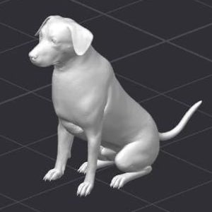 Op de afbeelding: Een 3D-geëngageerde, grijswaardenafbeelding van een hond in zittende positie. De hond heeft een gladde vacht, puntige oren en een lange staart. De achtergrond is een donkergrijze oppervlakte met een ruitpatroon.