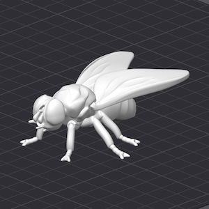 May include: A white plastic model of a fly with six legs and two wings. The fly is posed in a crawling position with its wings spread out.