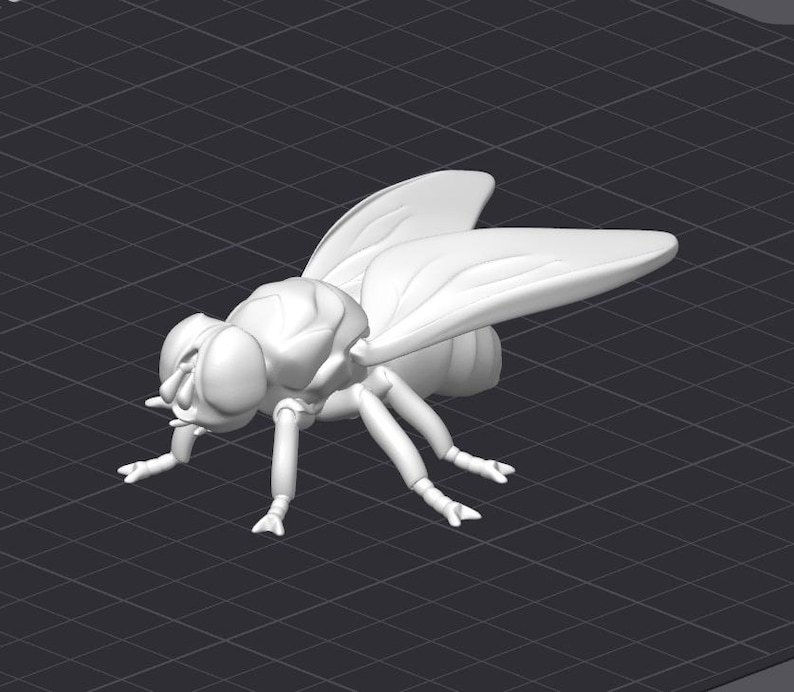 Fly Insect Bug STL 3D Printer File - Etsy