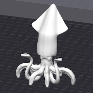 May include: A white 3D printed model of a squid with eight tentacles and a large head.