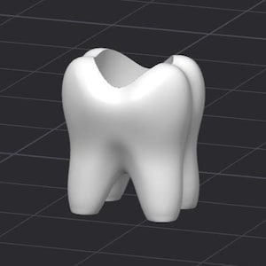 以下が含まれることがあります： 中央に隙間があり、歯のホルダーのような白いプラスチック製の歯のモデルです。