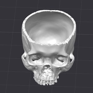 May include: A white, hollowed-out skull with a detailed, realistic design. The top of the skull is open, revealing the interior. The eye sockets, nasal cavity, and teeth are clearly defined. The skull is set against a dark gray background.