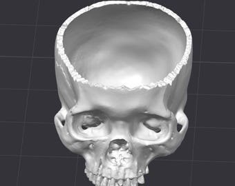 May include: A white, hollowed-out skull with a detailed, realistic design. The top of the skull is open, revealing the interior. The eye sockets, nasal cavity, and teeth are clearly defined. The skull is set against a dark gray background.
