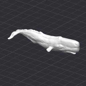 Sperm Whale STL 3D Printer File Ocean Animal
