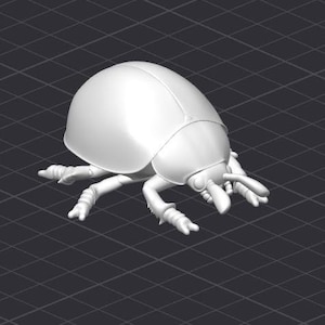 May include: A white, 3D printed model of a beetle with six legs and a rounded body.
