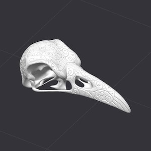 Puede incluir: Cráneo de pájaro de cerámica blanca con intrincados patrones decorativos. El cráneo está detallado con un pico y cuencas de los ojos.