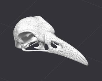 May include: White ceramic bird skull with intricate decorative patterns. The skull is detailed with a beak and eye sockets.