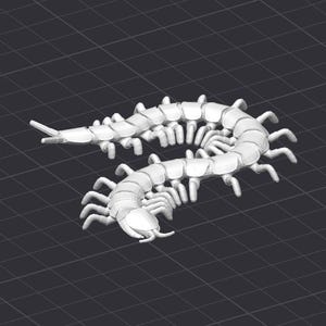 May include: A white plastic model of a centipede with many legs. The model is curled up in a circle.