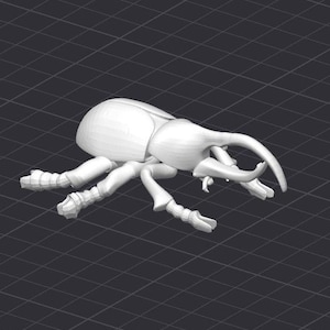 May include: White plastic model of a rhinoceros beetle with large horns. The beetle is posed with its legs outstretched and its horns pointing forward.