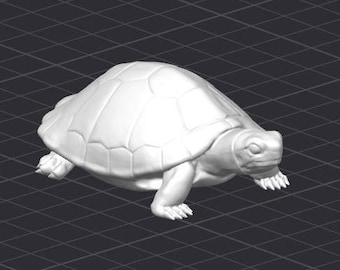 May include: A white ceramic turtle figurine with a detailed shell and textured feet.