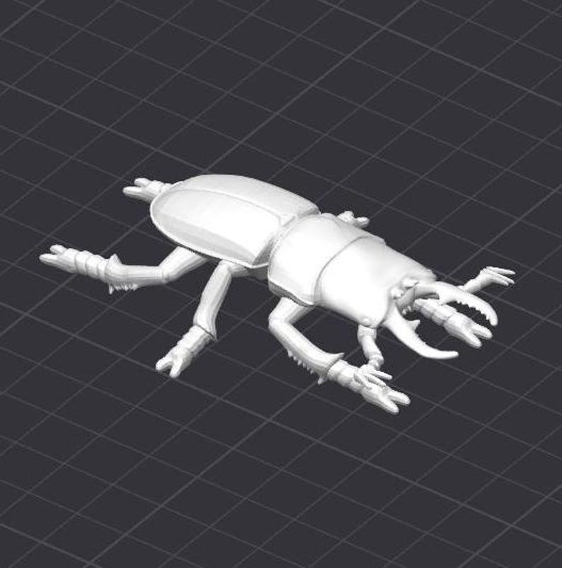 Stag Beetle Insect Bug STL 3D Printer File Stagbeetle - Etsy