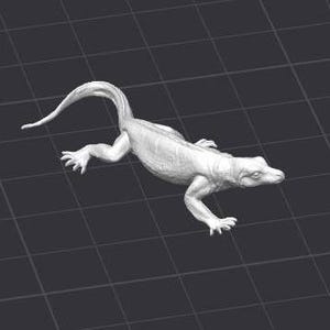 Komodo Dragon STL 3D Printer File Reptile Lizard