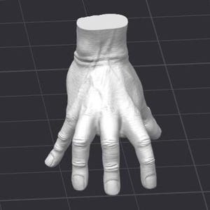 Puede incluir: Modelo 3D en escala de grises de una mano humana, con texturas y sombras detalladas. La mano está posicionada con los dedos ligeramente separados, mostrando la palma y el dorso. La muñeca también es visible.