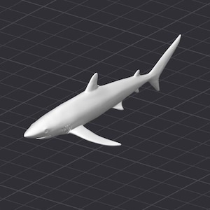 Shark STL 3D Printer File Ocean Reef Fish Animal