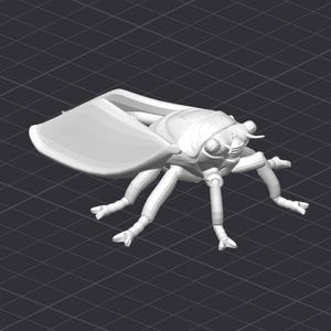 May include: A white 3D printed model of a planthopper insect. The model has a large, flat head with two large eyes and a long, thin body. The wings are folded over the back of the body.