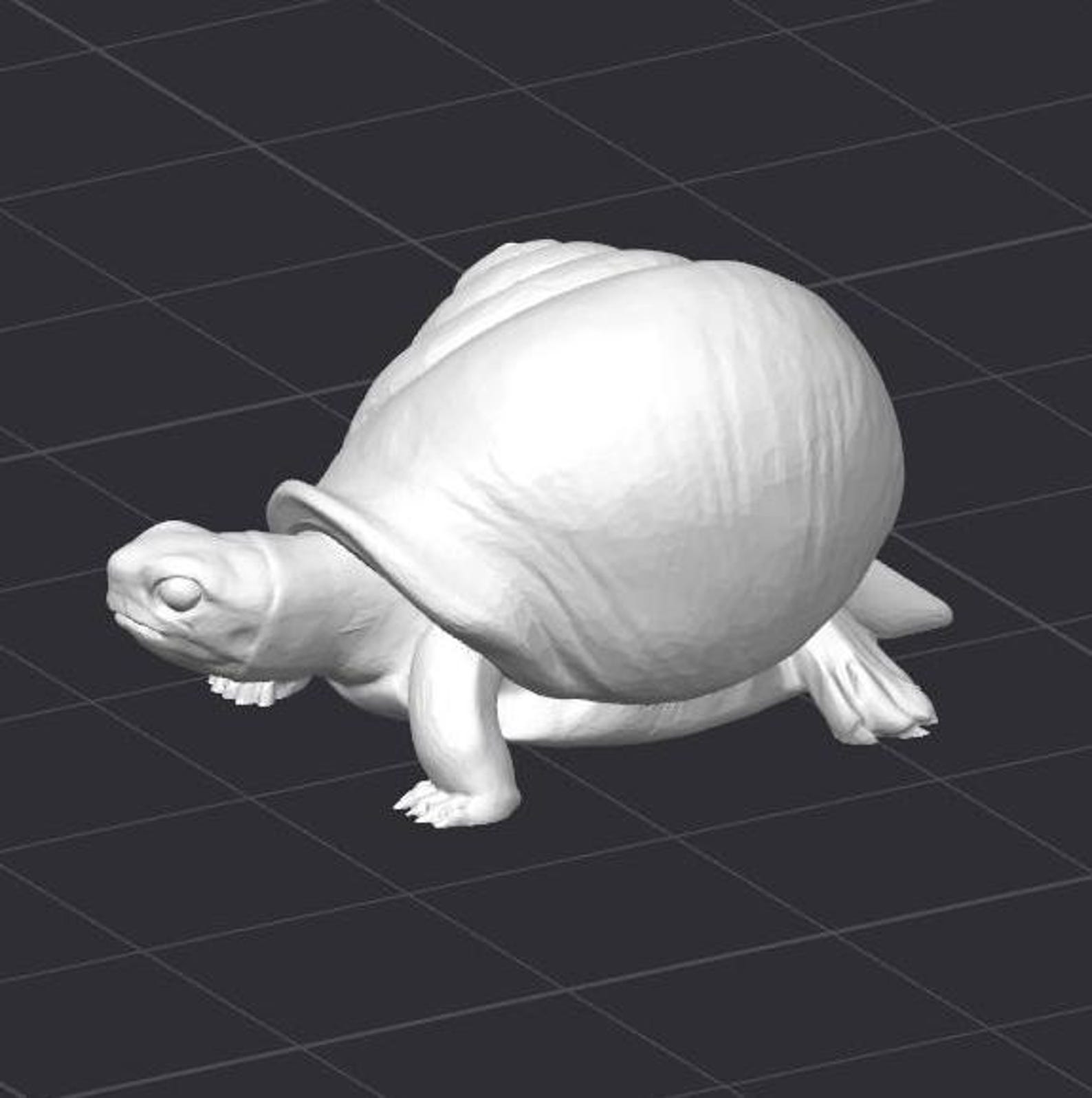 Turtle Fileversion Snail Turtle STL 3D Printer File - Etsy