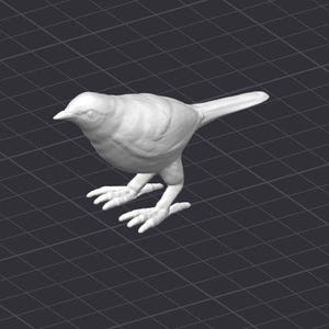 May include: A white ceramic bird figurine with detailed feathers and a long tail. The bird is standing on a black surface.