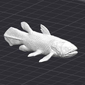 Coelacanth pattern - Etsy 日本