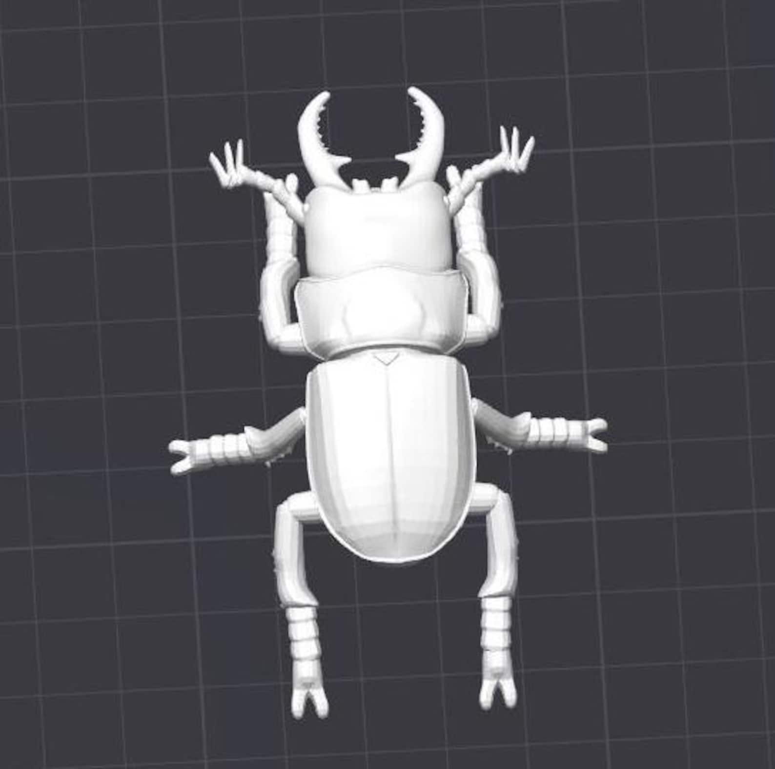 Stag Beetle Insect Bug STL 3D Printer File Stagbeetle - Etsy