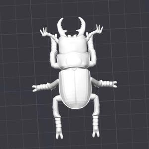 May include: A white plastic model of a stag beetle with large mandibles and six legs.