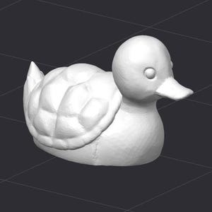 May include: White rubber duck with a turtle shell design. The duck has a round head with a small beak and a single eye.