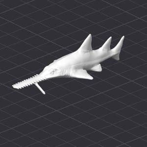 Saw Shark STL 3D Printer File Fish Ocean Reef Animal Sawshark