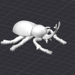 Puede incluir: Un modelo de plástico blanco de un escarabajo rinoceronte. El escarabajo está en posición de arrastrarse con las patas extendidas. El modelo está detallado con características realistas, incluyendo los cuernos del escarabajo y sus patas segmentadas.