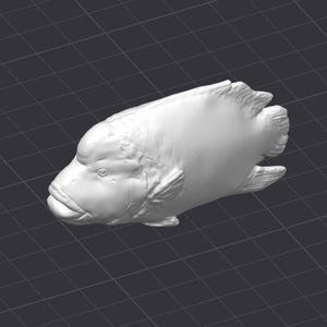 May include: A white, three-dimensional rendering of a fish, likely a sculpture or model. The fish has a prominent head, large mouth, and detailed fins. The background is a dark gray grid pattern.