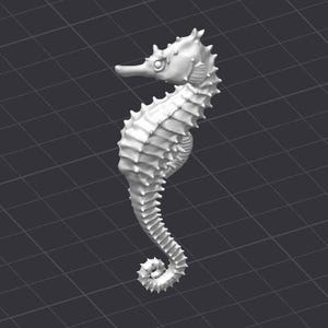 May include: A white, detailed, 3D printed seahorse figurine. The seahorse is standing upright with its tail curled around its body.