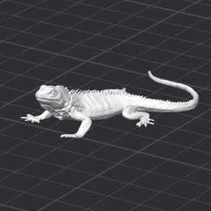 Puede incluir: Un modelo 3D impreso en blanco de un lagarto con una superficie texturizada y una cola larga.