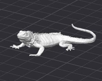 Lizard STL 3D Printer File Reptile Iguana
