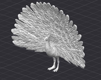 Peacock STL 3D Printer File Pea Fowl Bird Animal