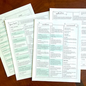 May include: Four pages of a green and white illustrated guide to Dungeons and Dragons game terms, conditions, spellcasting, and environment. The pages include terms like "attack", "spell slot", "blinded", "heavily obscured", and "spell DC".