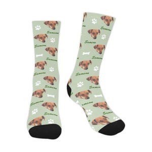 Custom Dog Photo socks, personalized socks, photo on socks, funny socks, put your dog on socks, custom socks for men, cat on socks, Dog Dad
