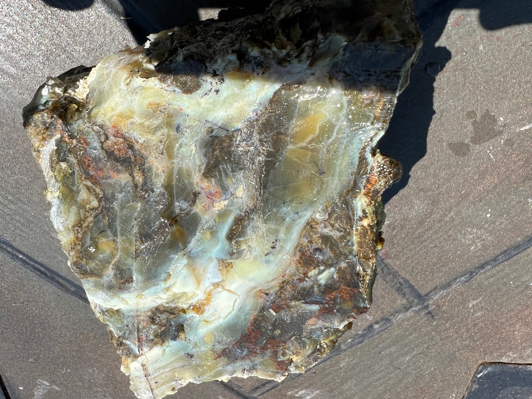 Raw Petrified Wood Stone Rough Petrified Wood Slab Etsy