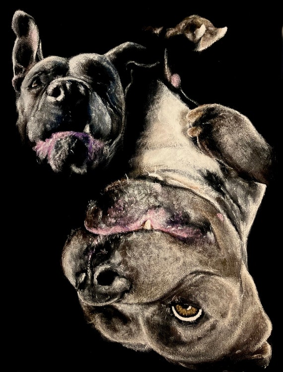 Custom Black Velvet Pet Portrait *Deposit* (12"x16")
