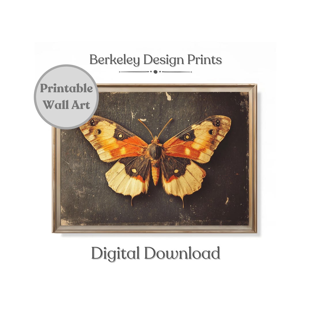 Antique Moth Art Print, Vintage Orange Butterfly Painting, Cottagecore ...
