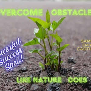 Può includere: Una pianta verde che cresce da una fessura nel marciapiede con il testo "Overcome Obstacles" e "Powerful Success Spell!" in giallo e blu. Il testo "Same Day Casting" e "Like Nature Does" è anche visibile in giallo.