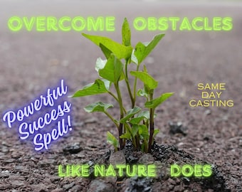 OVERCOME ALL OBSTACLES - Success Spell Good Luck - Career Spell Job - Money Spell - Relationship Spell Love - Wealth spell - Same Day Cast