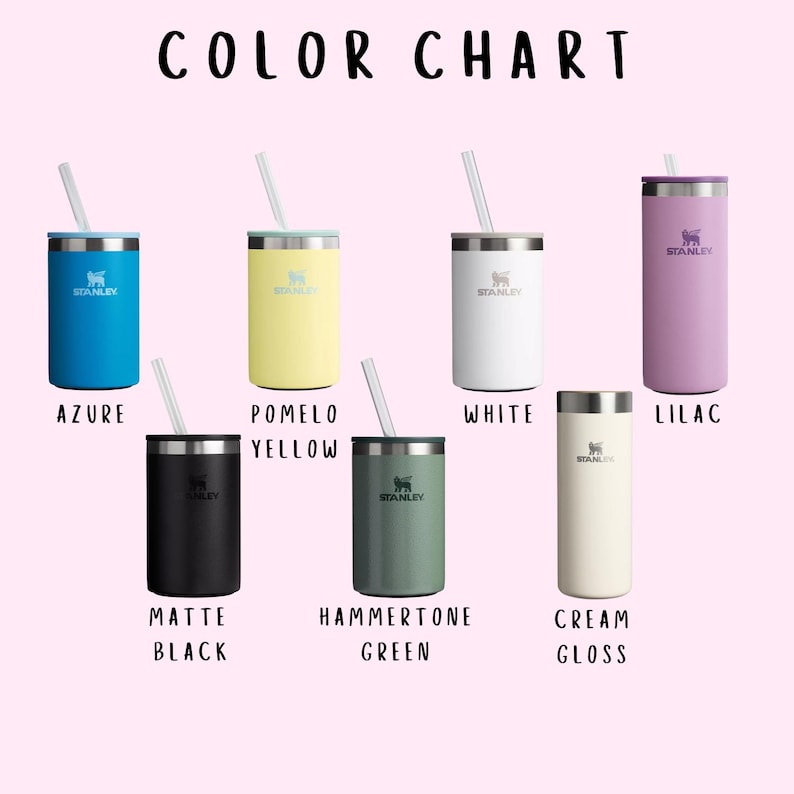 Personalized Stanley Can Cooler: Custom Slim Can, Stainless Steel image 5