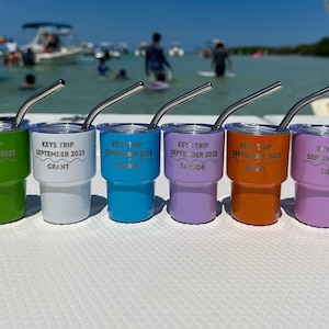 Custom Mini Tumbler | 2oz Engraved Tumblers | Stainless Steel with Lid and Straw | Perfect Wedding Party Favors | IN STOCK