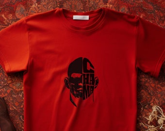 Alex Pereira t-shirt,  Chama t-shirt, Poatan shirt, UFC fan gift, MMA shirt, Badass shirt, fight fan shirt, Martial Artist gift, MMA t-shirt
