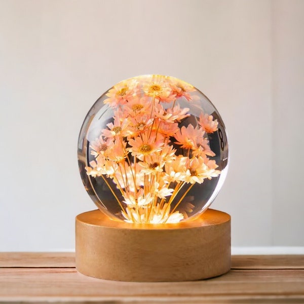 Benutzerdefinierte Trockenblumen Nachtlampe, echte Gänseblümchen Schneekugel, Löwenzahn Nachtlicht, niedliches Raumdekor, Nachttischlampe, Blumenkugel Ball Geschenk