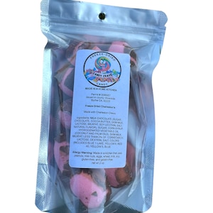 Freeze Dried strawberry bites-Charleston Chew